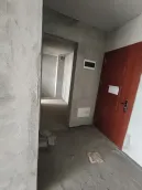 �����Ϲ۹���