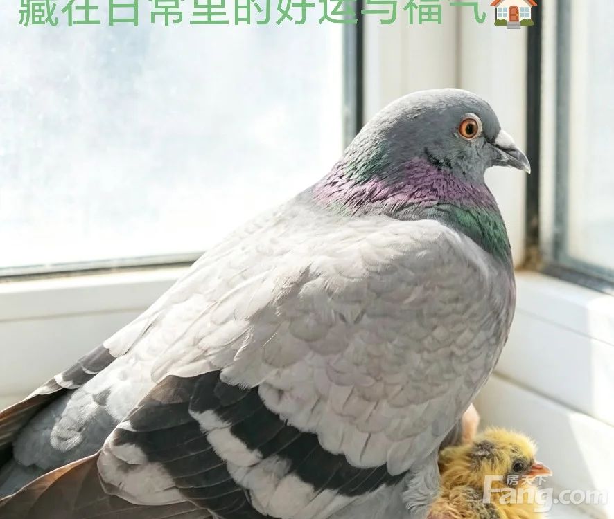 室内图