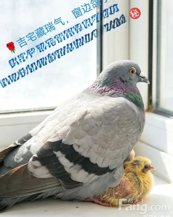 室内图