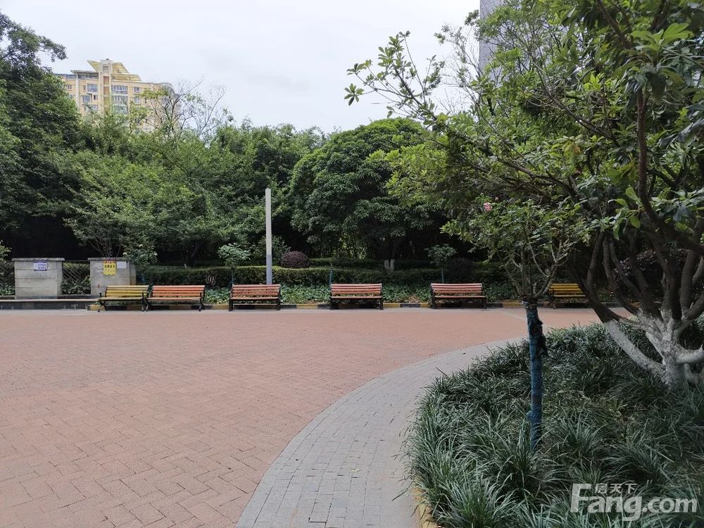 小区相关图