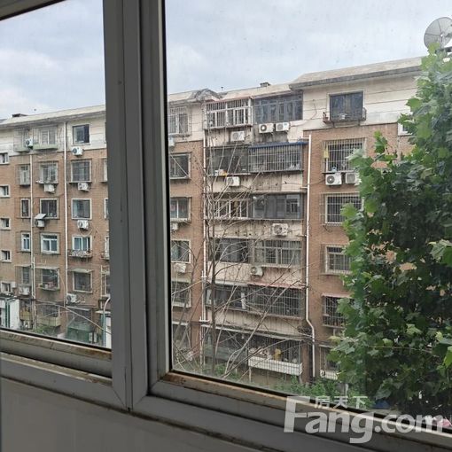  �Ͽ������̽����� 1��1�� 55.34�O 2000Ԫ/�� 