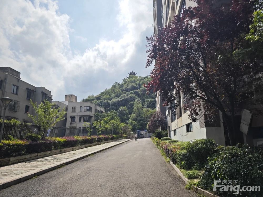 小区相关图