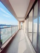 ���������c����������