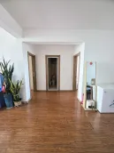 ������԰(����)