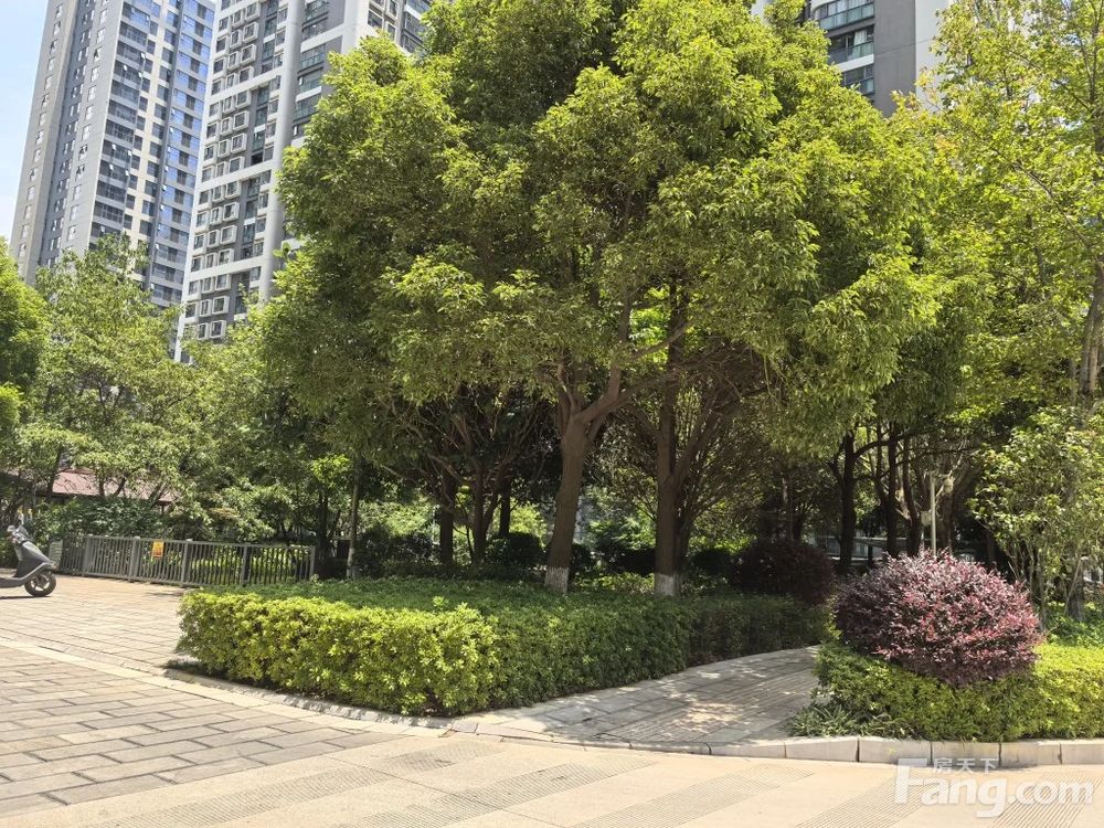 小区相关图
