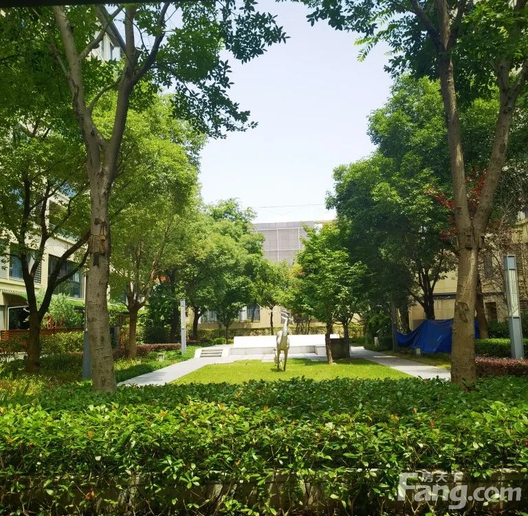 小区相关图