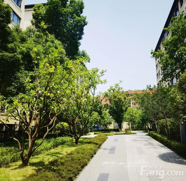 小区相关图