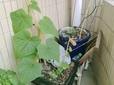 云岩 中天宅吉碧苑 4室2厅 202.00㎡ 182万