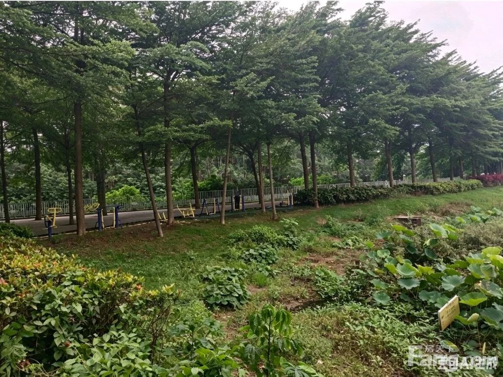 小区相关图
