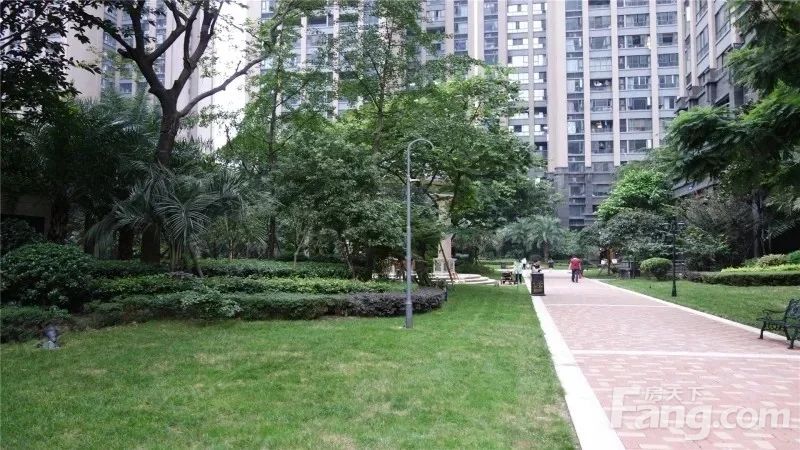 小区相关图