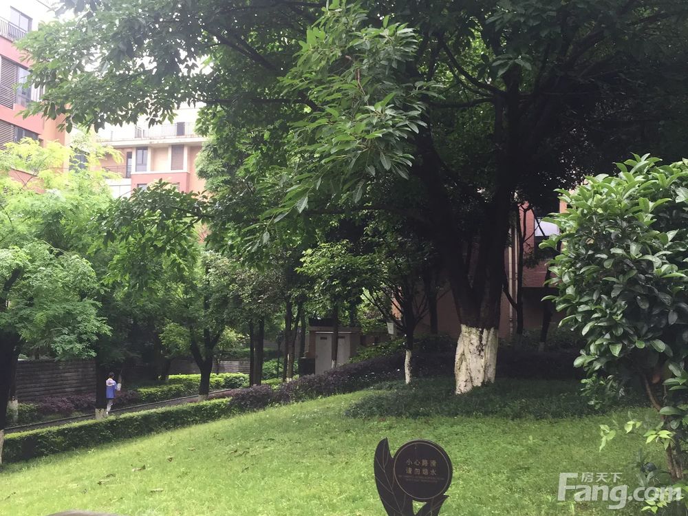 小区相关图