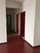 ������ͤ