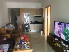 �ž���������
