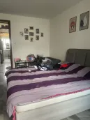 �����´�2��