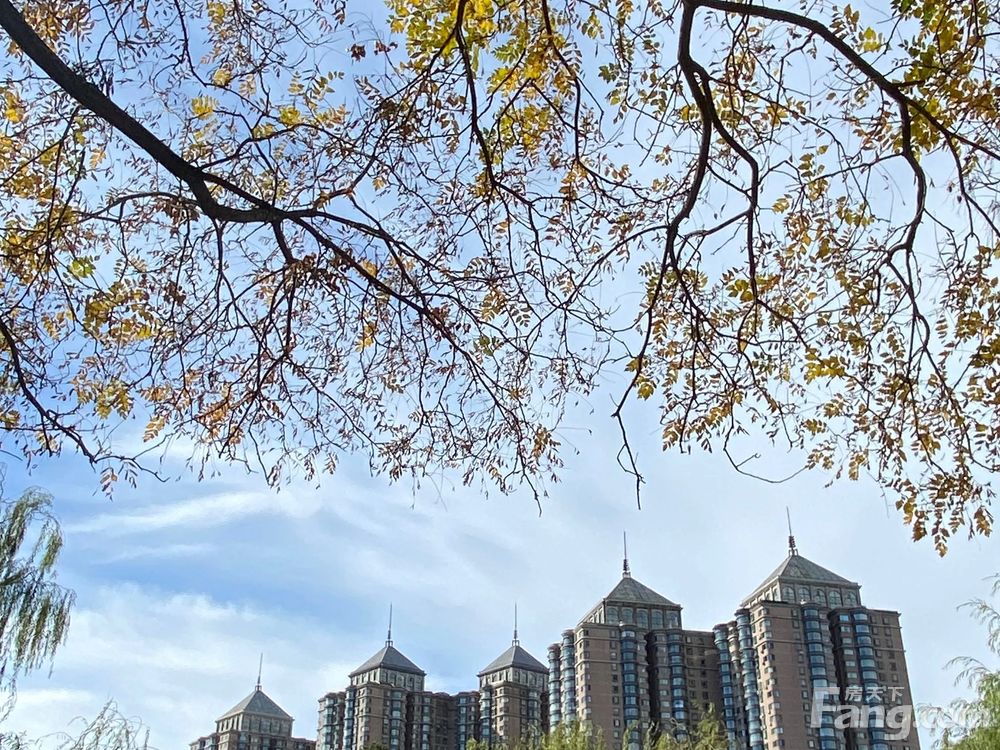 小区相关图