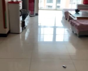 新都 名信天龙瑞景 3室2厅