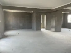 ����Է