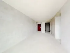 ���ױ�����