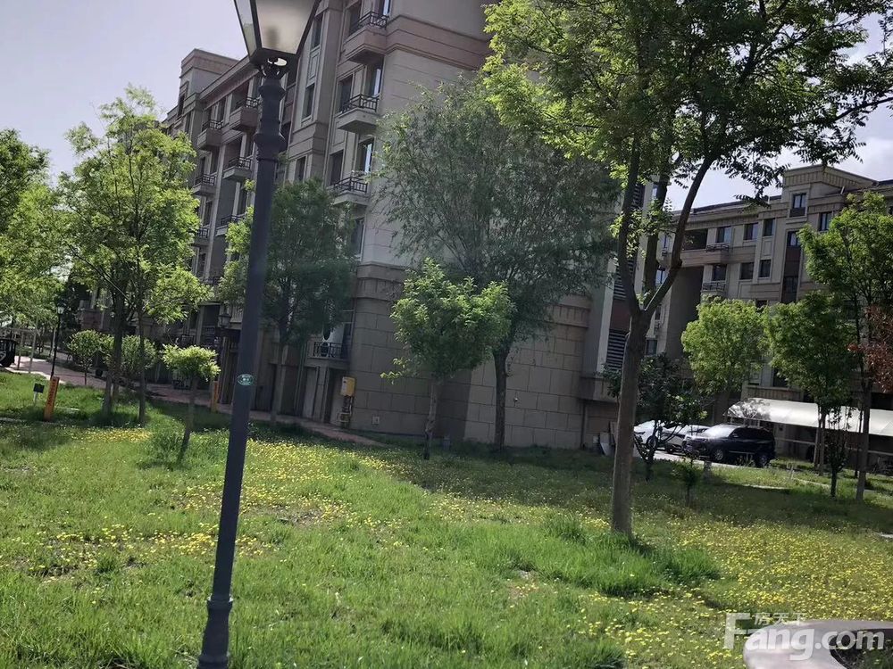 小区相关图