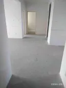 ������Է