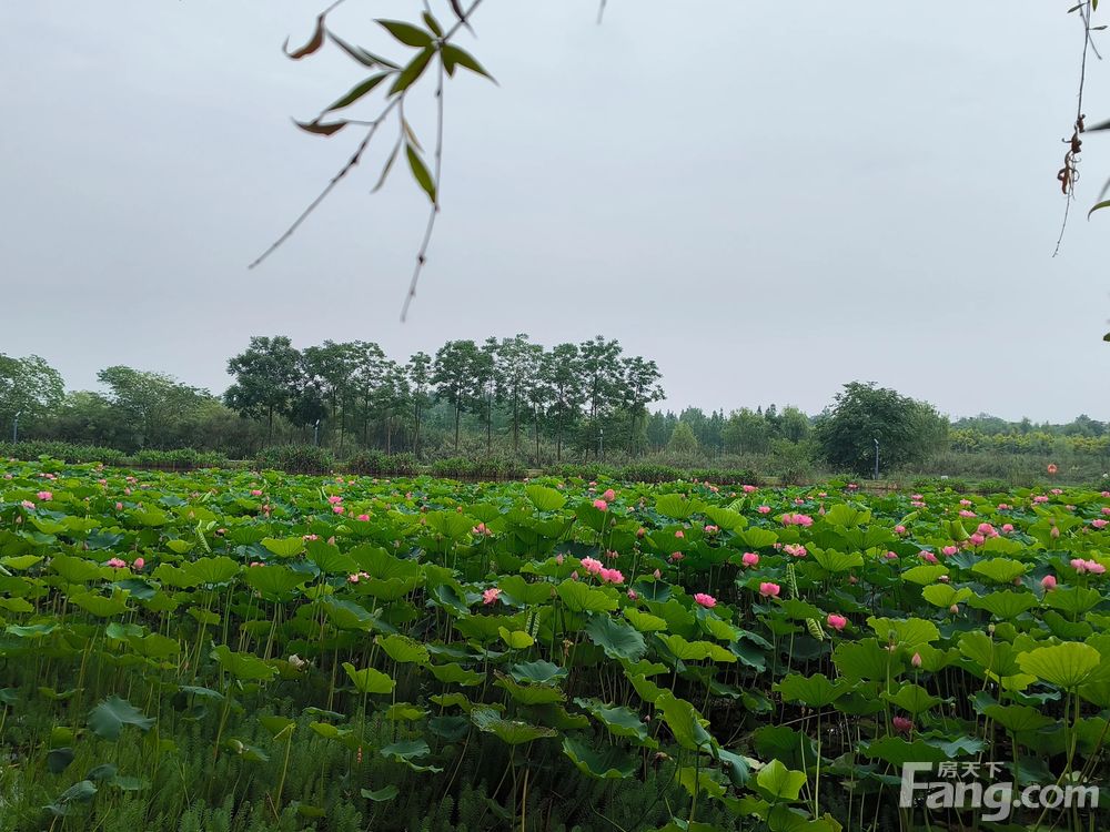 小区相关图