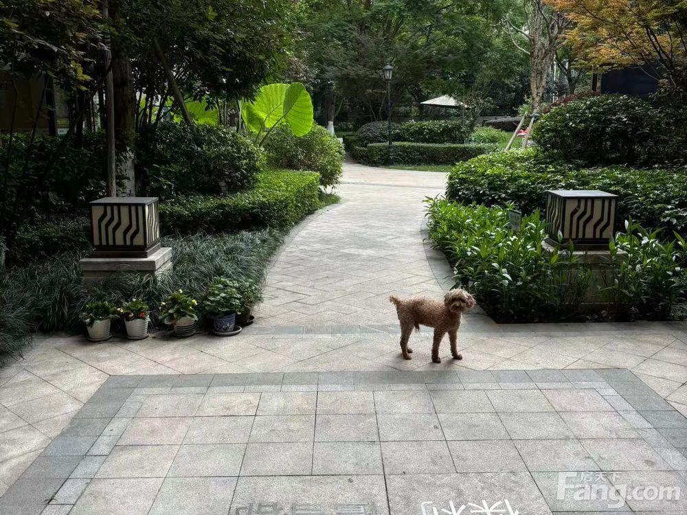 小区相关图