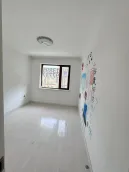 ����̫��������