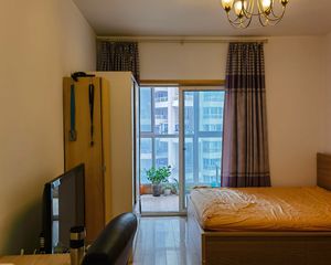 高新 世纪城天鹅湖 1室0厅