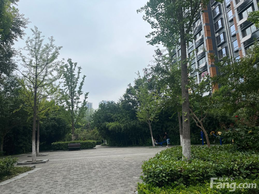 小区相关图