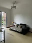 ���ڱ�׿�������