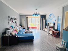 高新万达北盛世花城 上高新一实验 三叶草户型送车位地下室