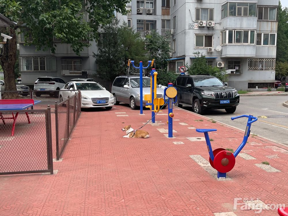 小区相关图
