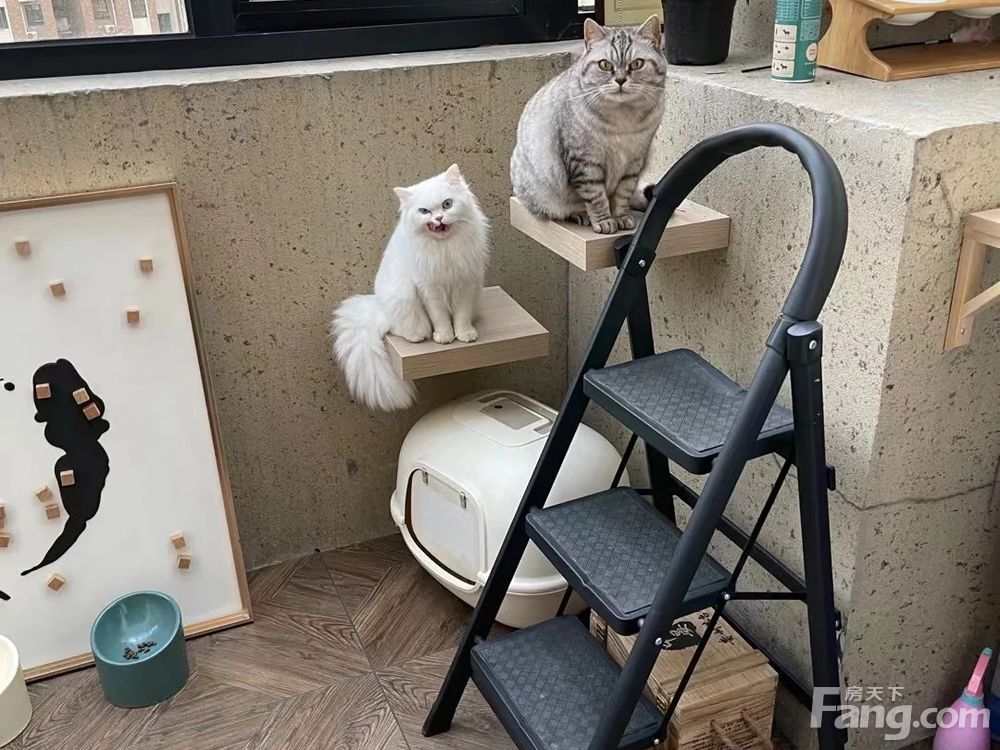 室内图