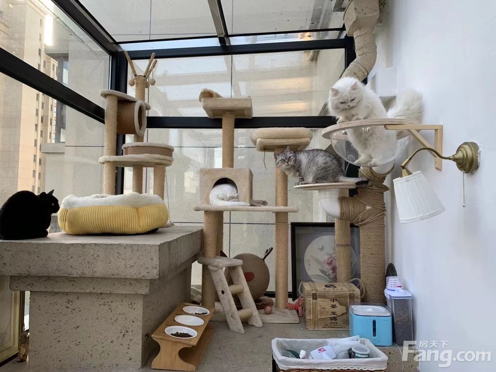 室内图