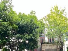 南岸 同景国际城香阁华颂 6室2厅 171.00㎡ 270万