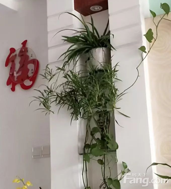 室内图