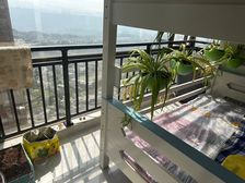 大方县 盛景国际广场 2室2厅 78.18㎡ 23万