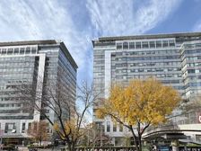 富海国际港业主直租