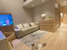 融创精彩天地**楼 1室1厅 39.80㎡ 131万