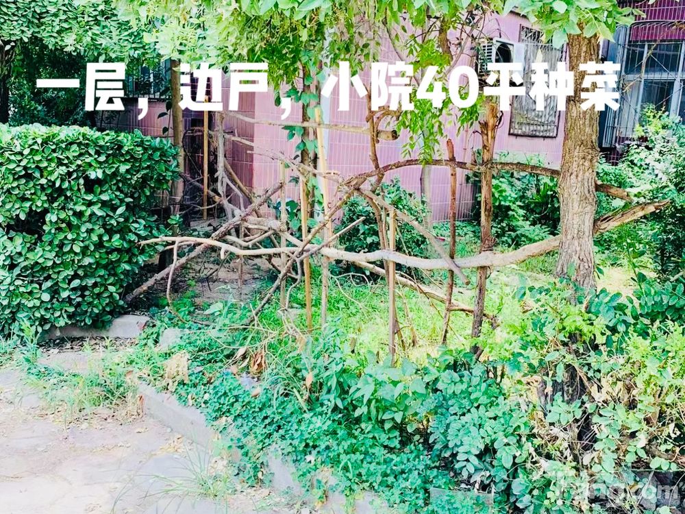 室内图