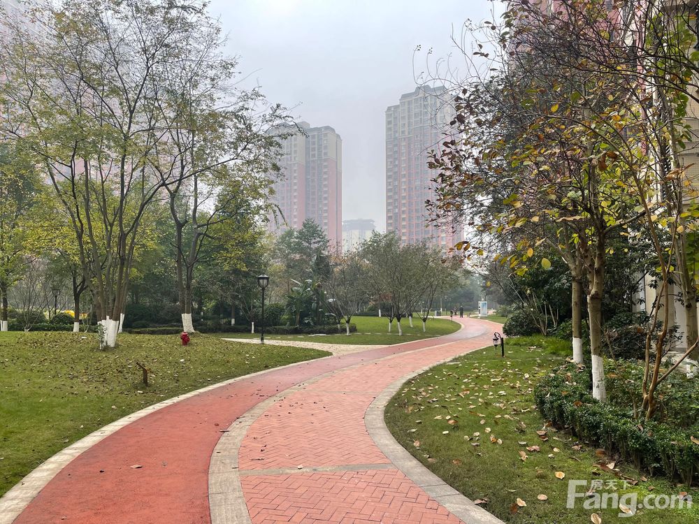 小区相关图