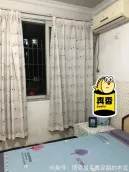 �����´�