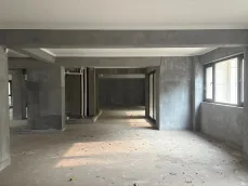 �����ǻ۳�
