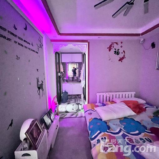  ���ڴ���й�ѫ��50ƽ���� 1��1��1�� 