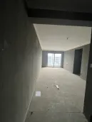 �̹�԰����ɭ��