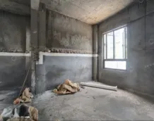��ï�Ƴ�����