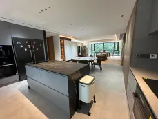 �̳�?��������