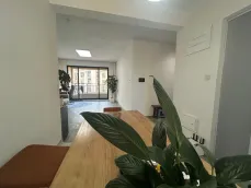 �̵���������