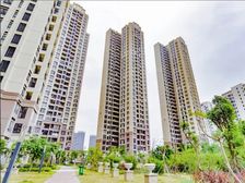 金湾 鸿泰西岸中央 3室2厅