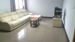 ����̨����